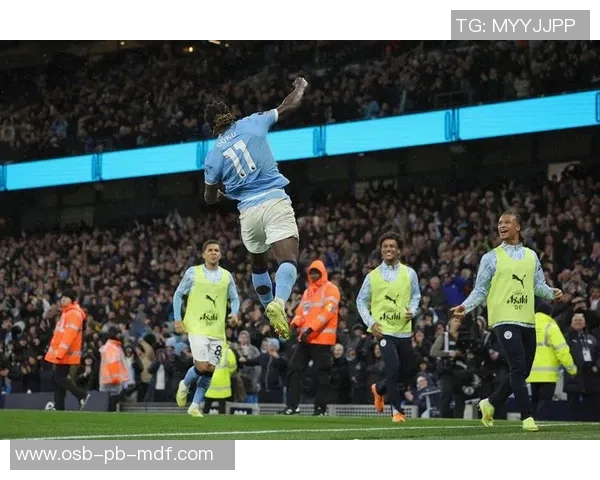 曼城足球球员号码查询及球员资料全面解析平台