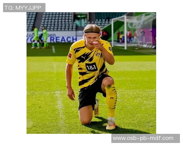 神龟是谁的足球明星身份揭秘 盘点与他相关的球场传奇与成就 神龟是谁的足球明星身份揭秘 盘点与他相关的球场传奇与成就